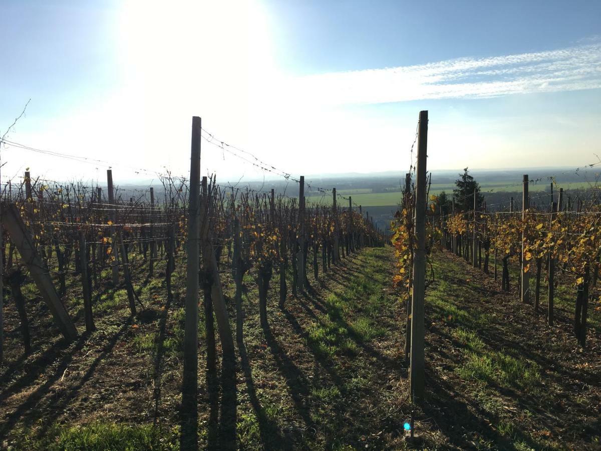 Pri Konjskem Pajdasu Lendava Exteriér fotografie